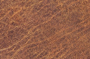 Kaba pullu Grunge doku eski yıpranmış doğal kahverengi sığır derisi buruşmuş