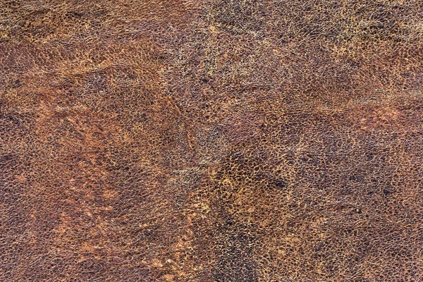 Old Weathered Natural Brown Cowhide Crumpled Coarse Exfoliated Grunge Texture Royalty Free Stock Images