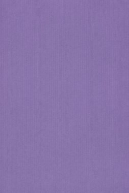 Mor çizgili Pastel kağıt kaba Grunge Textur ağartılmış