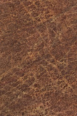 Pullu buruşuk Grunge doku örneği eski inek derisi buruşmuş