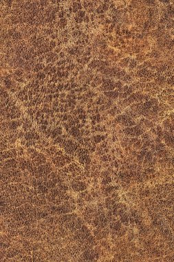Pullu buruşuk Grunge doku örneği eski inek derisi buruşmuş