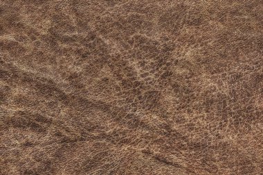 Pullu buruşuk Grunge doku örneği eski inek derisi buruşmuş