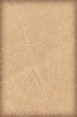 Hayvan deri parşömen Vignette Grunge doku örneği