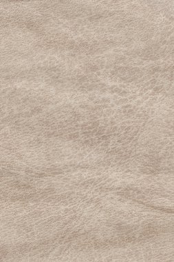 Antique Animal Skin Parchment Crumpled Grunge Texture Sample