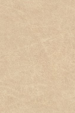 Antique Animal Skin Parchment Crumpled Grunge Texture Sample