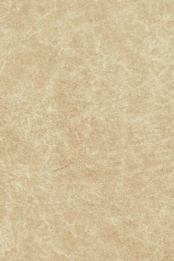 Antika hayvan deri parşömen Grunge doku örneği