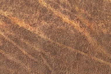 Pullu buruşuk Grunge doku örneği - detay eski inek derisi buruşmuş