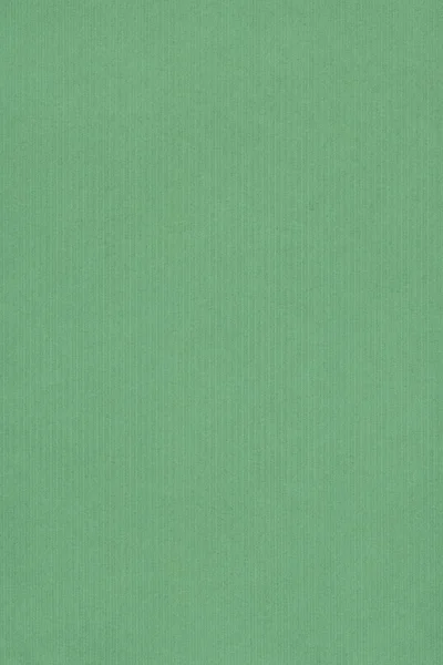 Pastel Paper Light Lime Green Coarse Grain Grunge Texture Stock