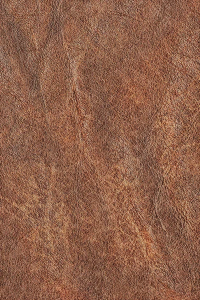 Muestra de textura grunge arrugada exfoliada arrugada de piel de vaca marrón vieja —  Fotos de Stock