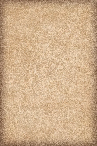 Antique Animal Skin Perchment Vignette Grunge Texture Sample — Foto de Stock