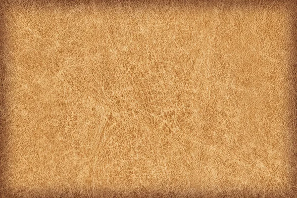 Пергамент из кожи животных Vignette Grunge Texture Sample — стоковое фото