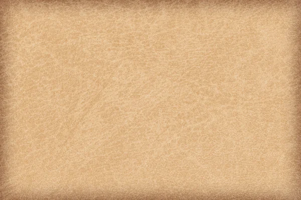 Animal Skin Parchment Vignette Grunge Texture Sample — Stock Photo, Image