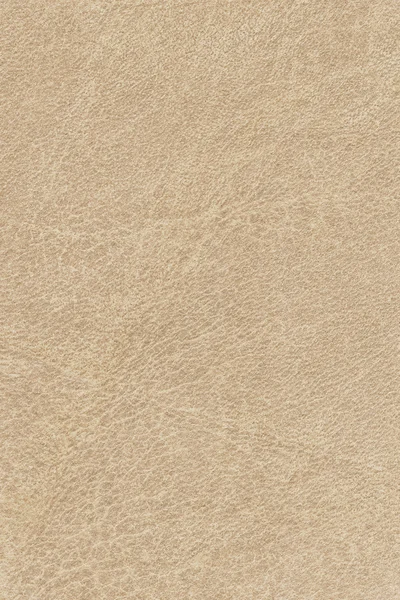 Antique Animal Skin Parchment Grunge Texture Sample — Stock Photo, Image