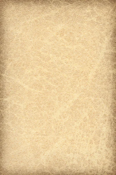 Amostra de textura de grunge de vinheta de pergaminho de pele animal antigo — Fotografia de Stock