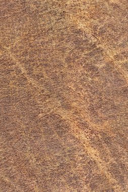 Pullu buruşuk Grunge doku örneği - detay eski inek derisi buruşmuş