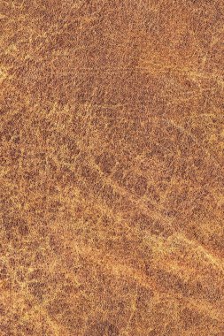 Pullu buruşuk Grunge doku örneği - detay eski inek derisi buruşmuş