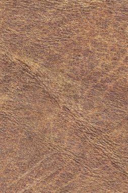 Pullu buruşuk Grunge doku örneği - detay eski inek derisi buruşmuş