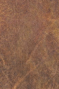 Pullu buruşuk Grunge doku örneği eski inek derisi buruşmuş