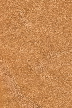 Pullu buruşuk Grunge doku örneği eski koyu sarı inek derisi buruşmuş