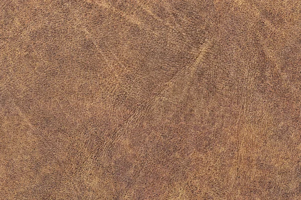 Old Cowhide Creased Exfoliated Crumpled Grunge Texture Sample - Detail — Stock Photo, Image