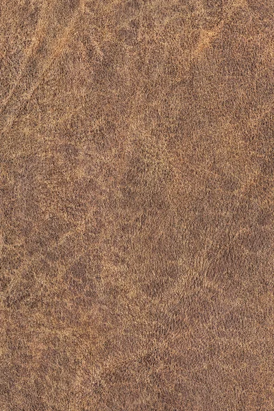 Ancien échantillon de texture grunge froissée exfoliée froissée en peau de vache - Détail — Photo