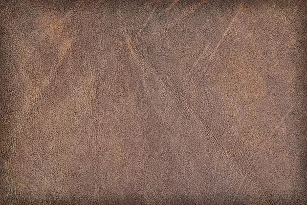 Oude koeienhuid gevouwen geëxpandeerd verfrommeld Grunge textuur monster — Stockfoto