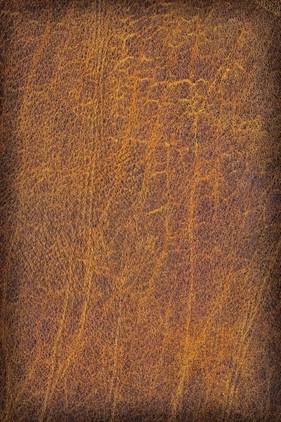 Ancien échantillon de texture grunge froissée exfoliée froissée de peau de vache — Photo