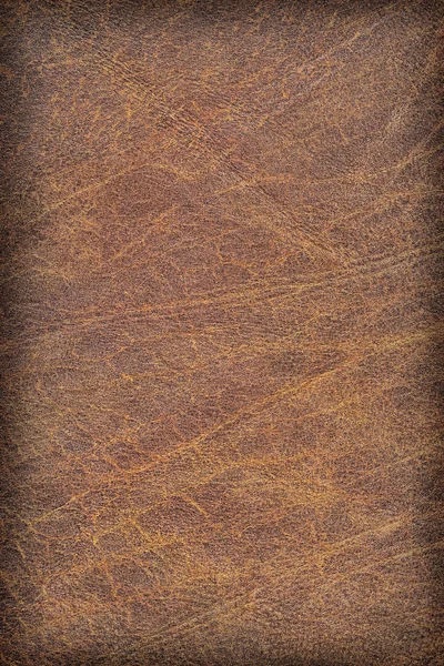 Old Cowhide Creased Exfoliated Crumpled Grunge Texture Sample — Stock Photo, Image