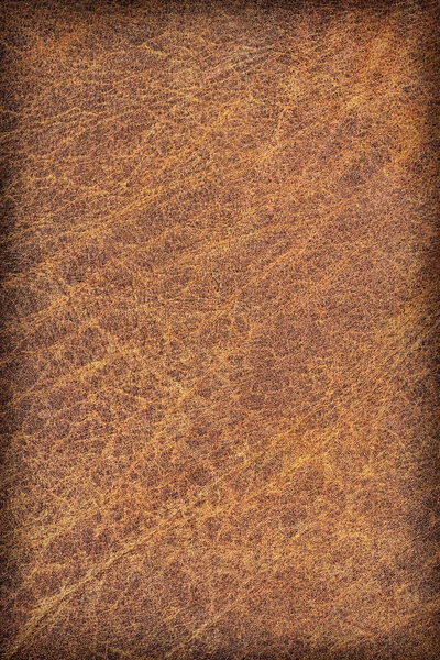 Oude koeienhuid gevouwen geëxpandeerd verfrommeld Grunge textuur monster — Stockfoto
