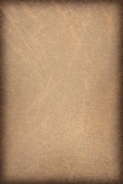 Antique Animal Skin Parchment Vignette Grunge Texture Sample — Stock Photo, Image