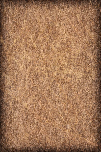 古色古香的动物皮肤羊皮纸 Vignette Grunge 纹理样本 — 图库照片