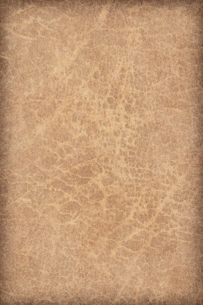 Old Natural Ocher Brown Animal Skin Parchment Coarse Vignette Grunge Texture Sample — Stock Photo, Image