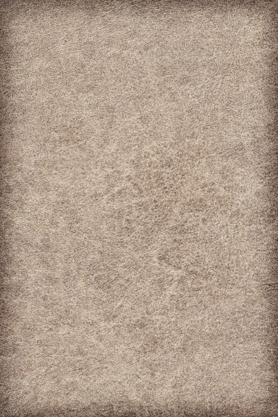 Huid van een proefdier perkament vignet Grunge textuur Sampl — Stockfoto