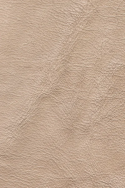 오래 된 황토 베이 지 가죽 주름 잡은 피부 박피 구겨진된 Grunge 텍스처 샘플 — 스톡 사진