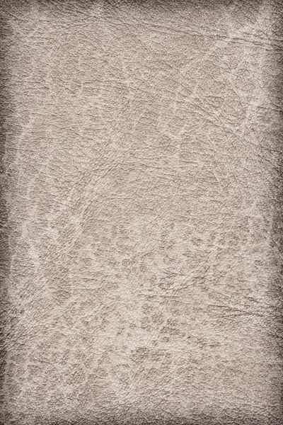 Old Grayish Beige Cowhide Creased Crumpled Vignette Grunge Texture — Stock Photo, Image