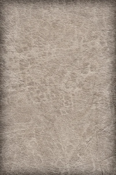 Oude grijsachtig Beige koeienhuid gevouwen verfrommeld vignet Grunge textuur — Stockfoto