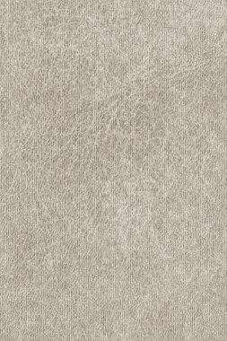 Sanatçının Pastel kağıt grimsi bej kaba tahıl Grunge doku örneği