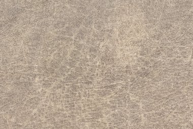 Eski yıpranmış kaba bej deri Grunge doku örneği buruşmuş