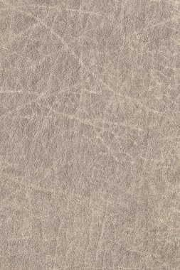 Eski yıpranmış kaba bej deri Grunge doku örneği buruşmuş