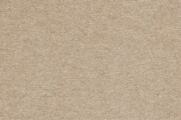 Sanatçının Pastel kağıt grimsi bej kaba tahıl Grunge doku örneği