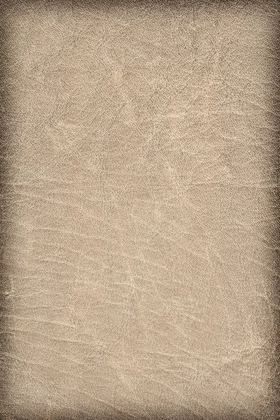 Oude verweerde ruwe gevouwen Beige Lederen vignet Grunge textuur monster — Stockfoto