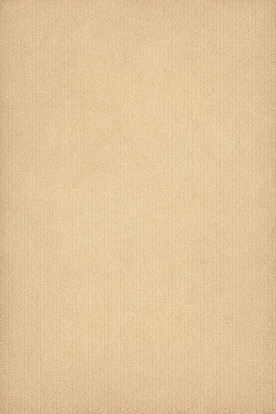 Beige Pastel Paper Coarse Grain Vignette Grunge Texture — Stock Photo, Image