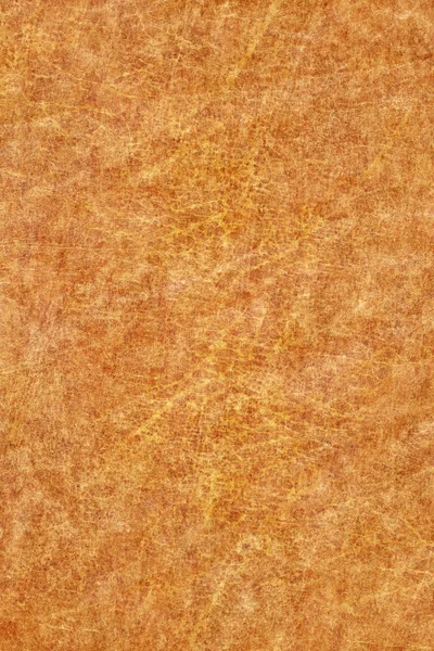 Vecchio Pergamena Grunge Texture — Foto Stock