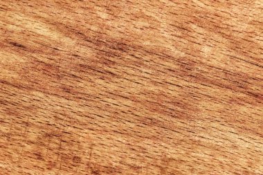 Eski kayın kesme tahtası Grunge doku detay