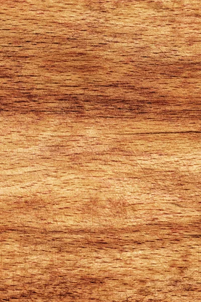 Velha placa de corte de faia Grunge detalhe da textura — Fotografia de Stock
