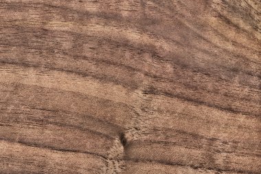 Ceviz ahşap kaplama Grunge doku örneği