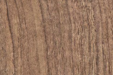 Ceviz ahşap kaplama Grunge doku örneği