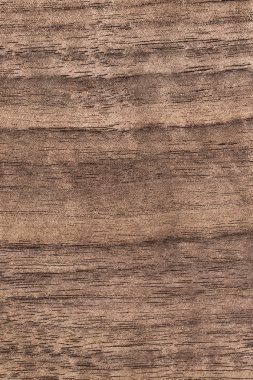 Ceviz ahşap kaplama Grunge doku örneği
