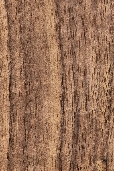 Ořechové dřevo dýha Grunge textury vzorek — Stock fotografie