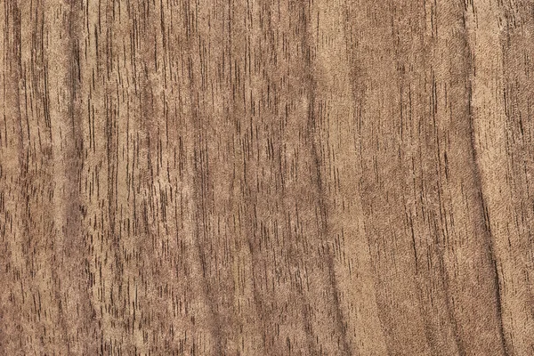 Noten hout fineer Grunge textuur monster — Stockfoto